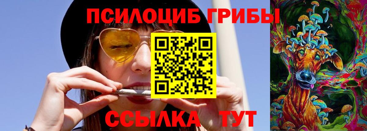 Галлюциногенные грибы ЛСД Ефремов